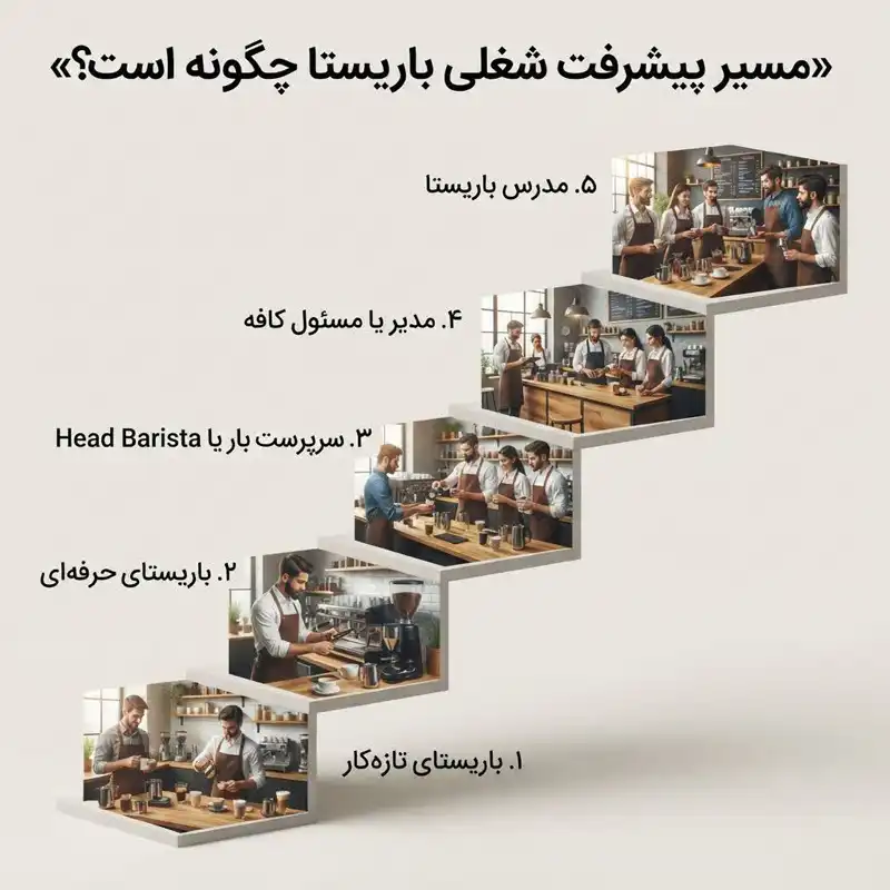 مراحل پیشرفت شغلی باریستا از باریستا تازه‌کار تا باریستای حرفه‌ای، سرپرست بار یا Head Barista، مدیر یا مسئول کافه و در نهایت مدرس باریستا